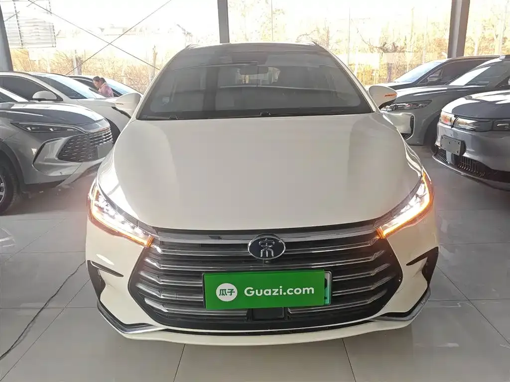 BYD MAX New Energy 2023 из CN, фото 9
