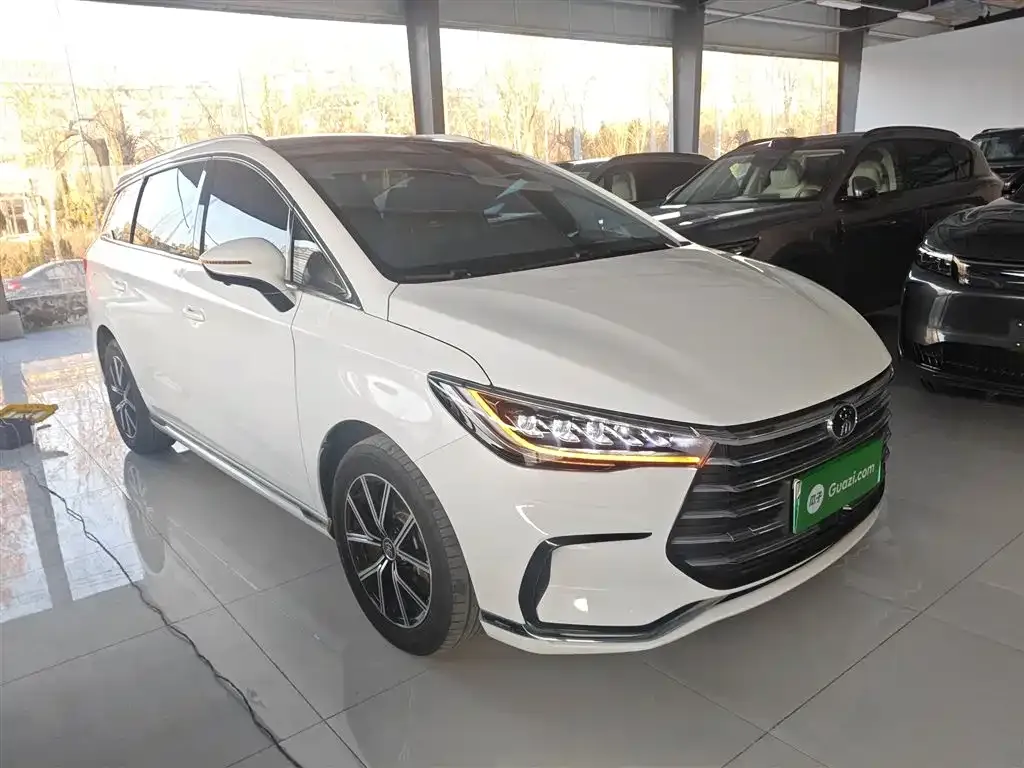 BYD MAX New Energy 2023 из CN, фото 10