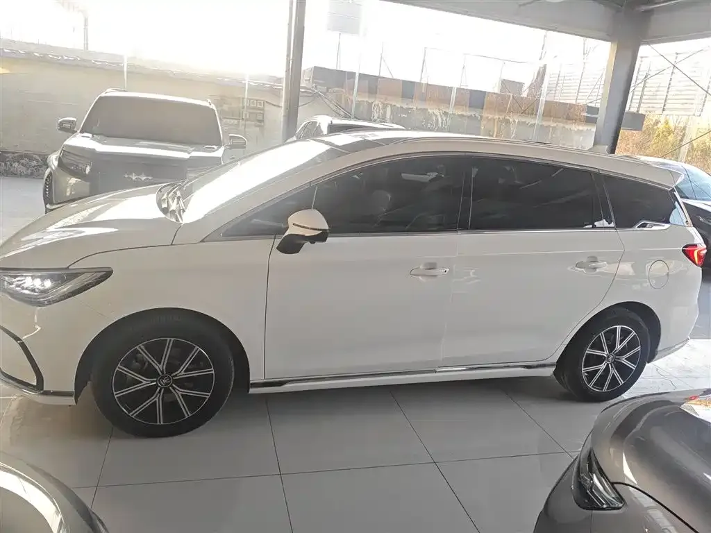 BYD MAX New Energy 2023 из CN, фото 5