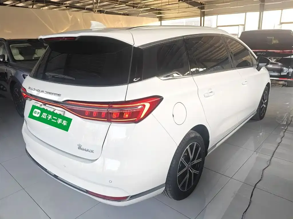 BYD MAX New Energy 2023 из CN, фото 4