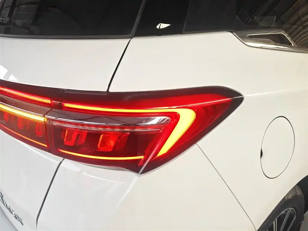 BYD MAX New Energy 2023 из CN, фото 2