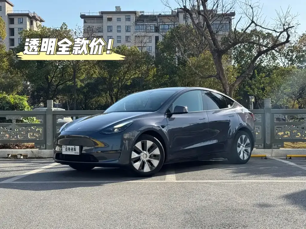 Tesla Model Y 2021 из CN, фото 1