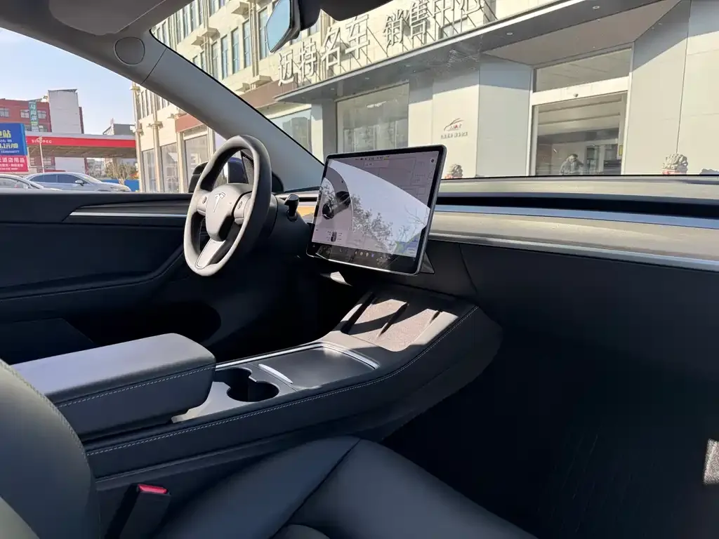 Tesla Model Y 2021 из CN, фото 10