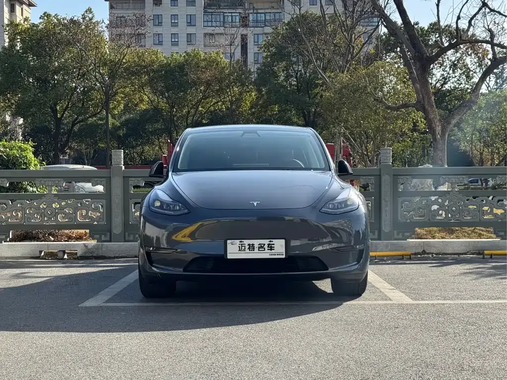 Tesla Model Y 2021 из CN, фото 2