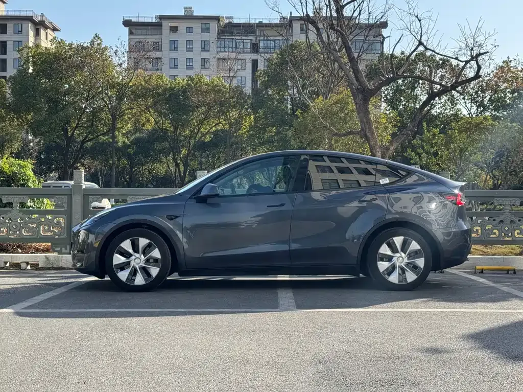 Tesla Model Y 2021 из CN, фото 3