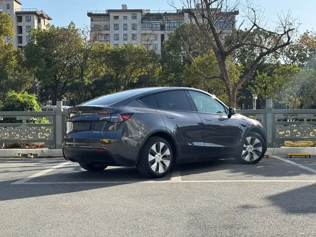 Tesla Model Y 2021 из CN, фото 4