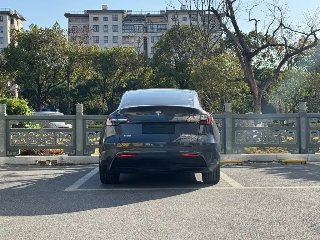 Tesla Model Y 2021 из CN, фото 5