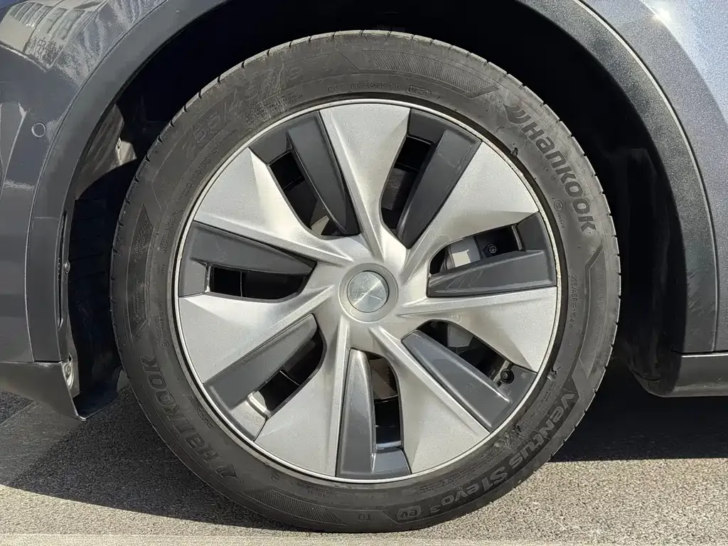 Tesla Model Y 2021 из CN, фото 7