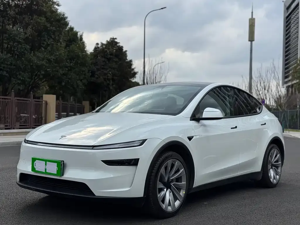 Tesla Model Y 2025 из CN, фото 1