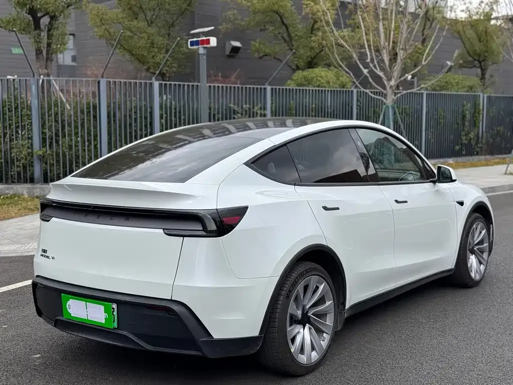 Tesla Model Y 2025 из CN, фото 9