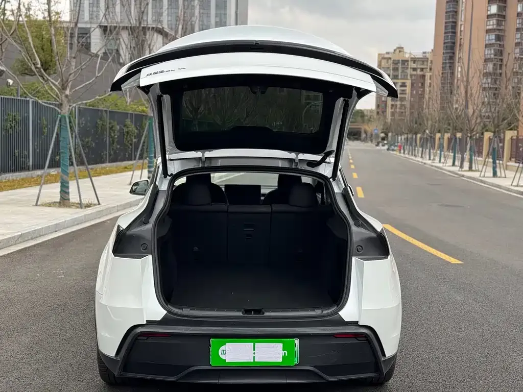 Tesla Model Y 2025 из CN, фото 10