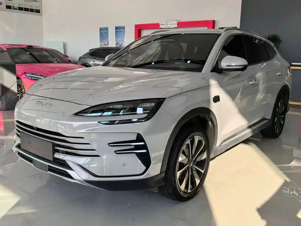 BYD PLUS New Energy 2025 из CN, фото 1