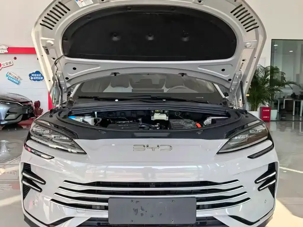 BYD PLUS New Energy 2025 из CN, фото 8