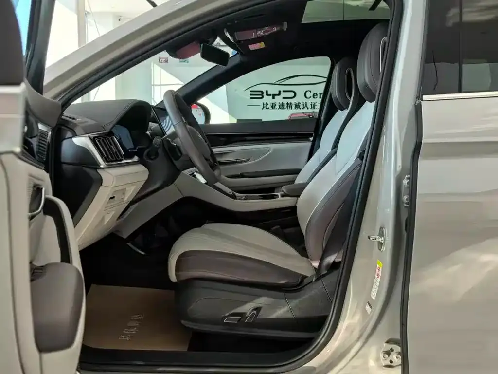 BYD PLUS New Energy 2025 из CN, фото 5