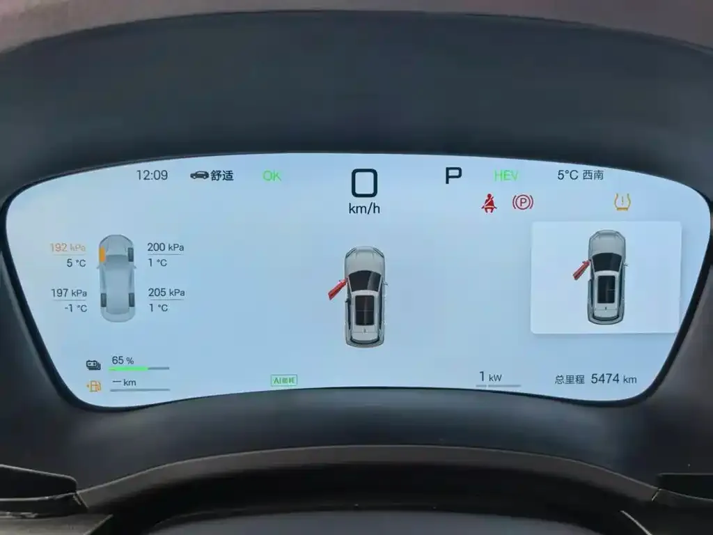 BYD PLUS New Energy 2025 из CN, фото 2