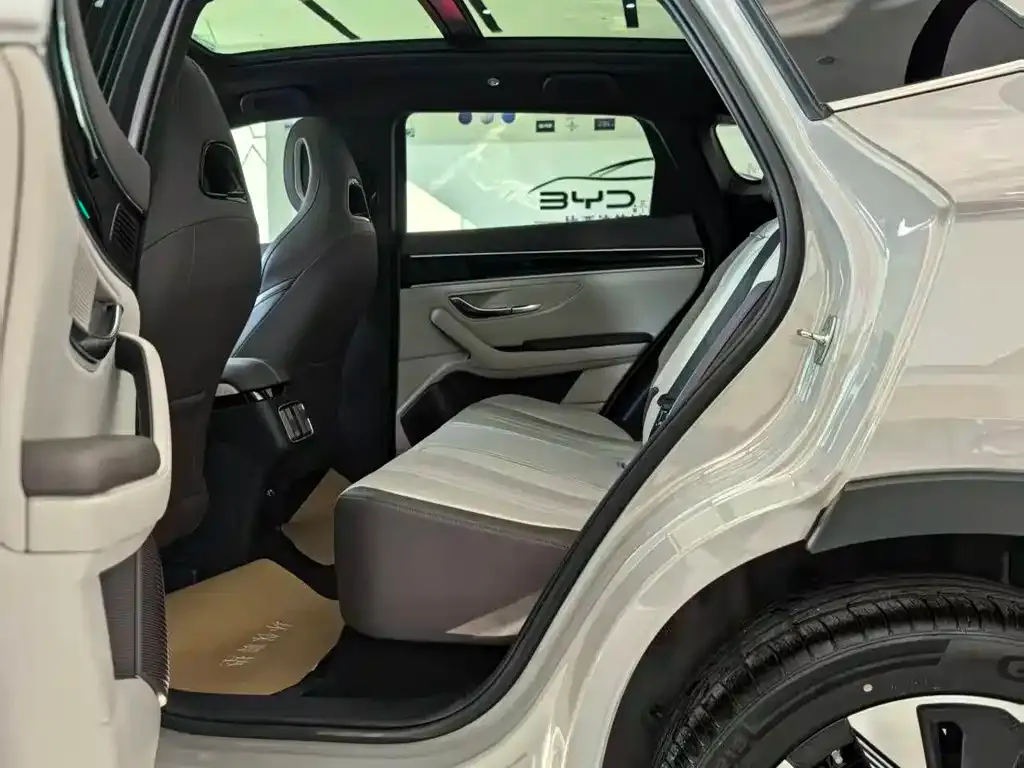 BYD PLUS New Energy 2025 из CN, фото 6