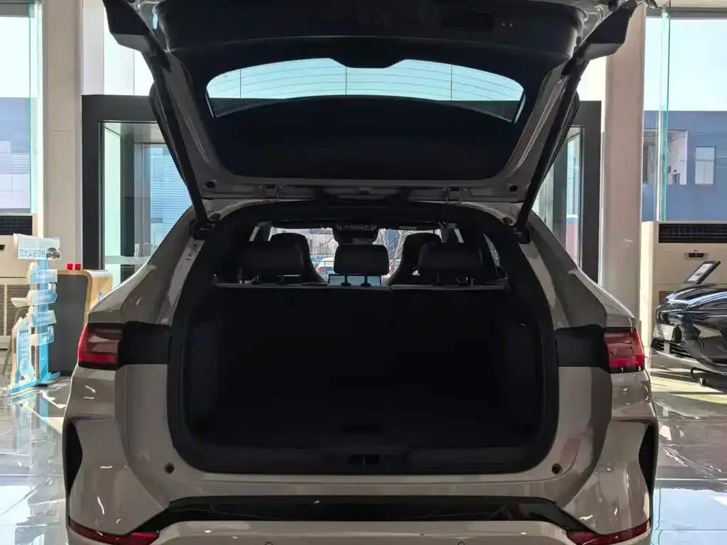 BYD PLUS New Energy 2025 из CN, фото 3