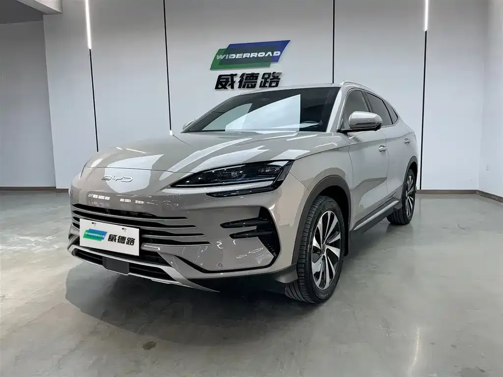 BYD PLUS New Energy — фото 1