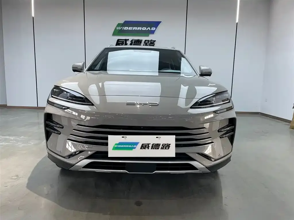 BYD PLUS New Energy — фото 7