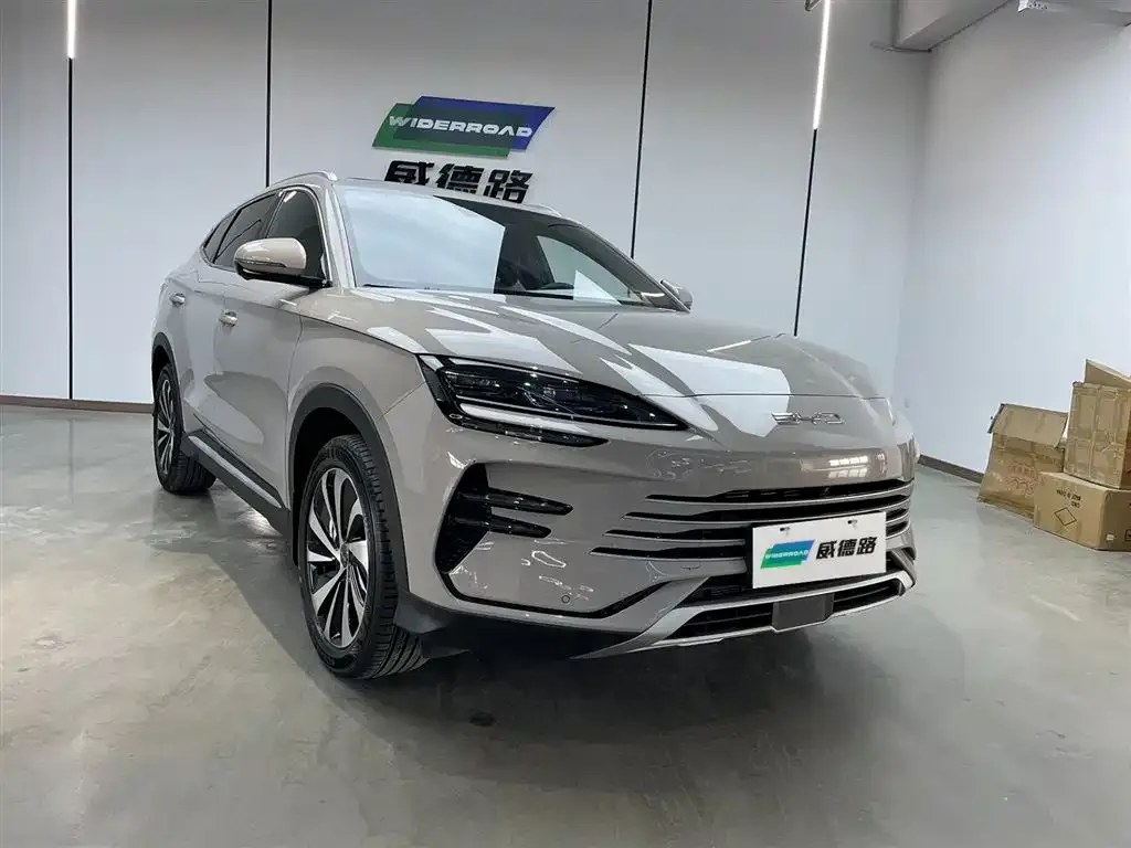 BYD PLUS New Energy — фото 4