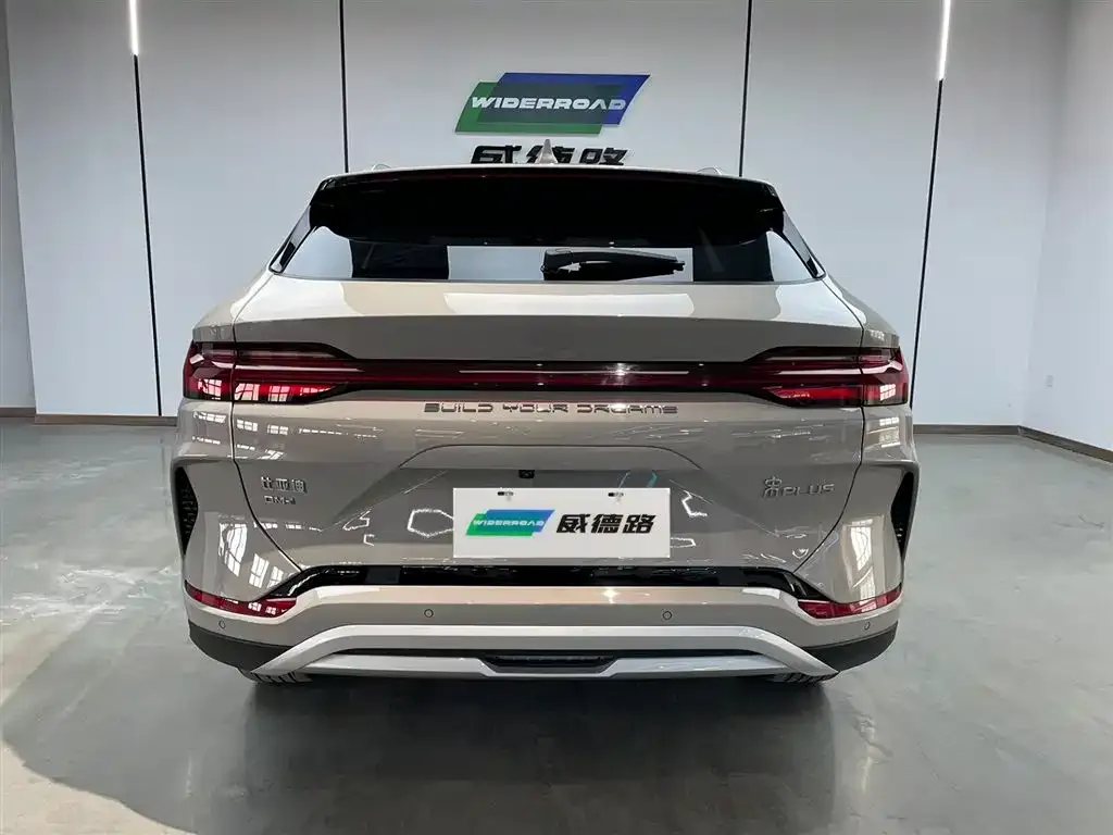 BYD PLUS New Energy — фото 3