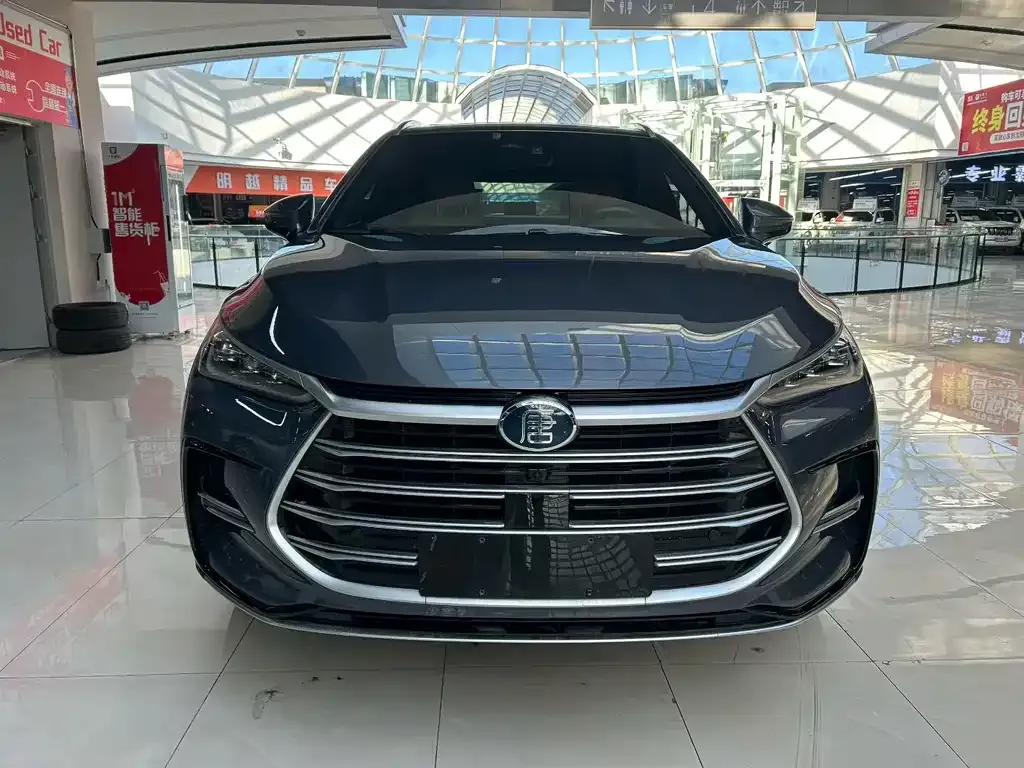 BYD Tang New Energy 2023 из CN, фото 2