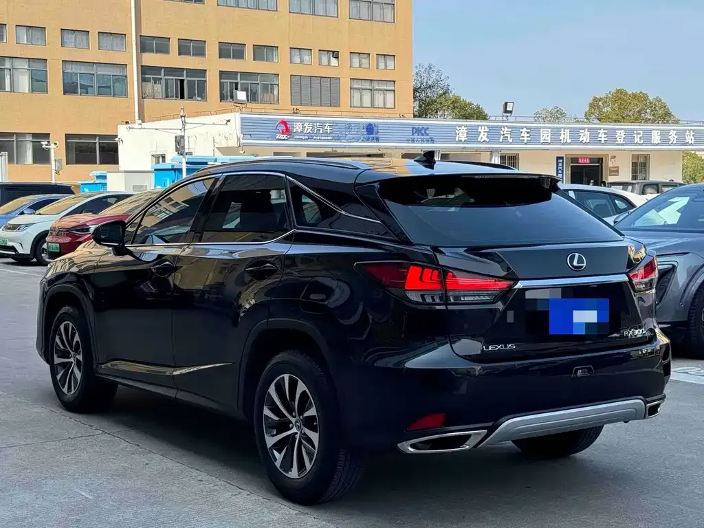 Lexus RX 2022 из CN, фото 5