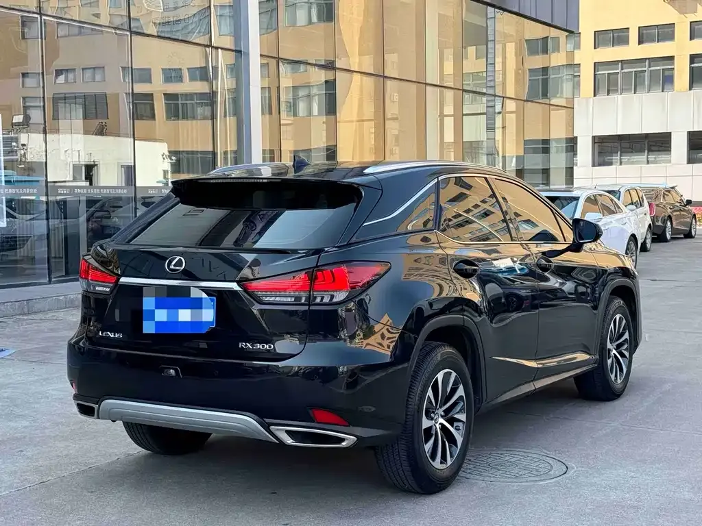 Lexus RX 2022 из CN, фото 6
