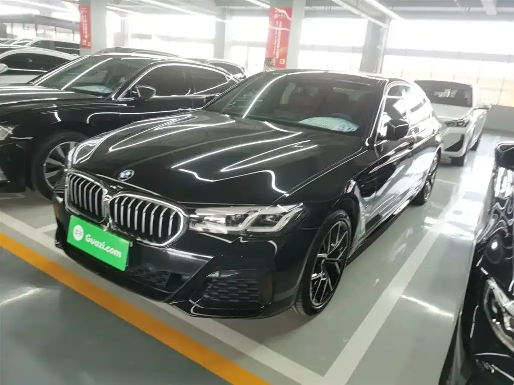 BMW 5 Series 2023 из CN, фото 10