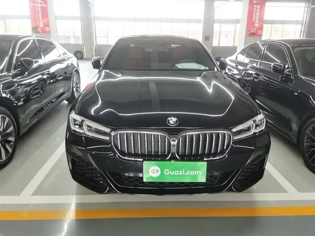 BMW 5 Series 2023 из CN, фото 8