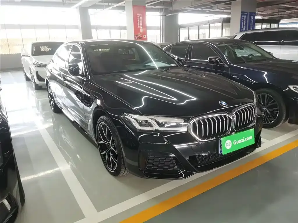 BMW 5 Series 2023 из CN, фото 5