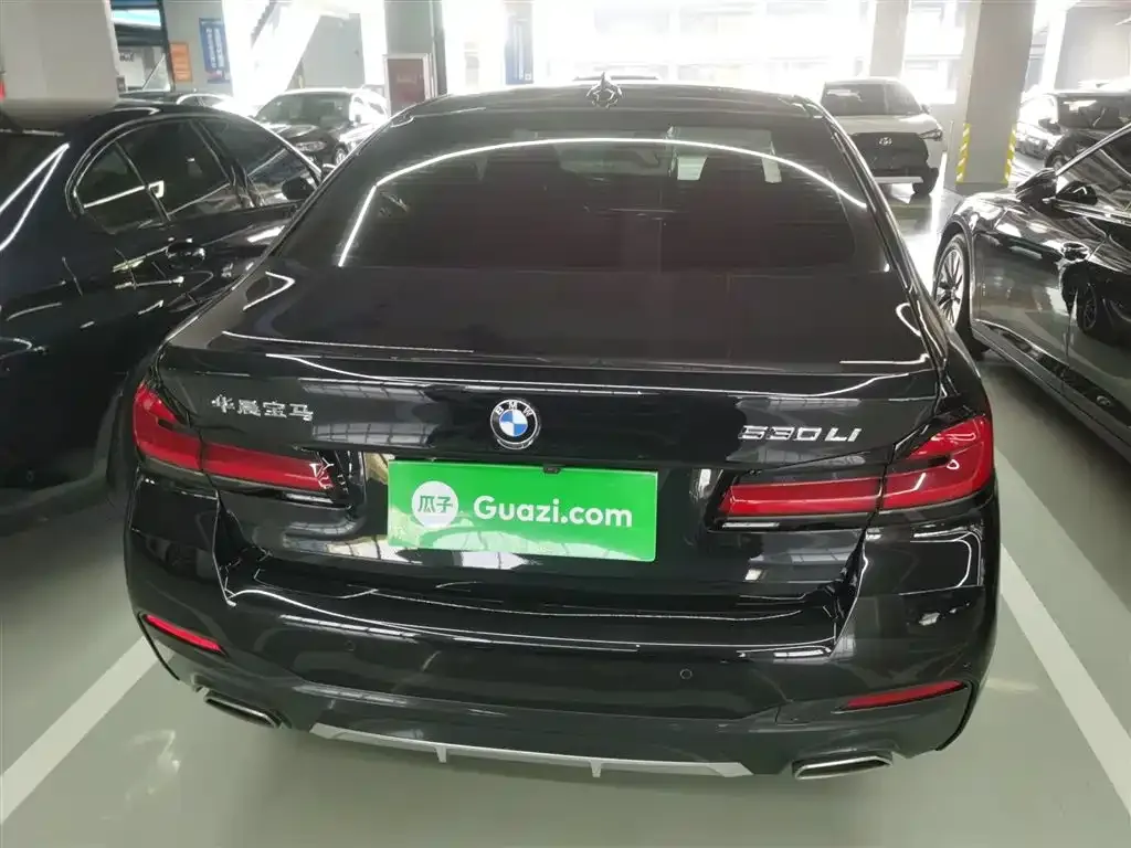 BMW 5 Series 2023 из CN, фото 7