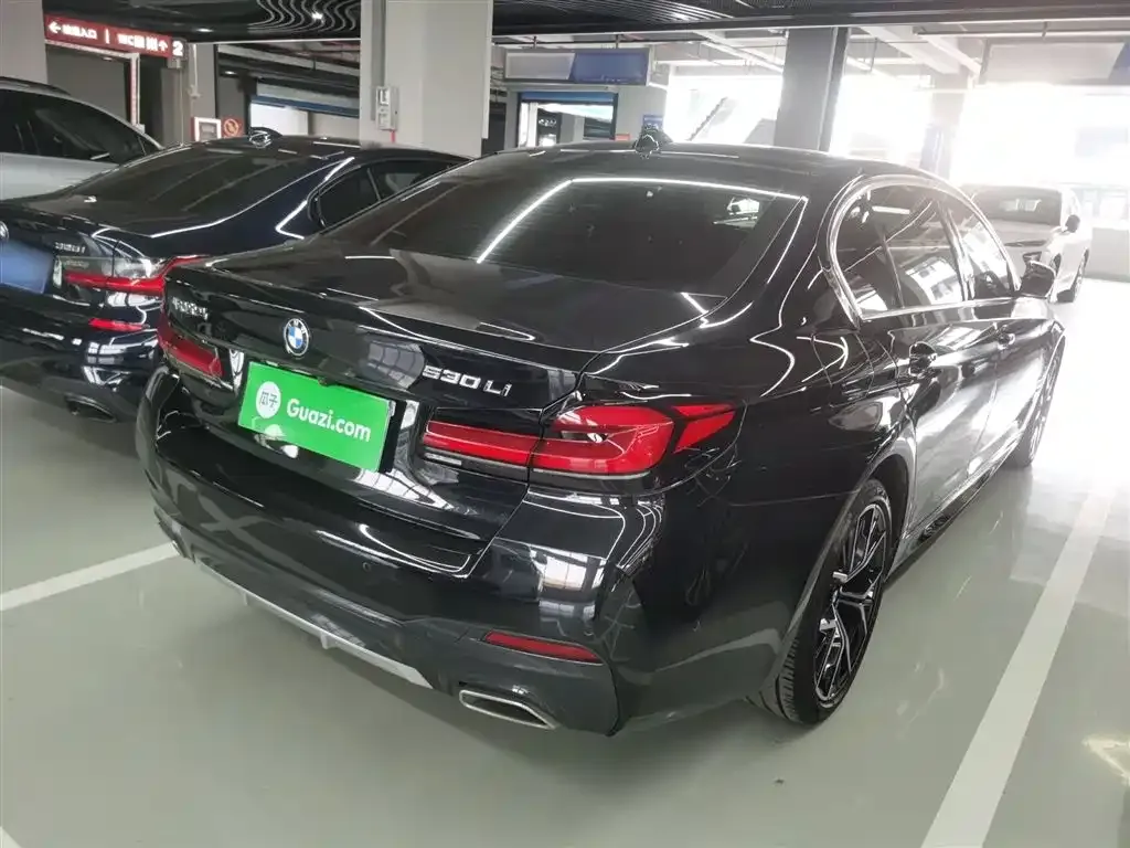 BMW 5 Series 2023 из CN, фото 4