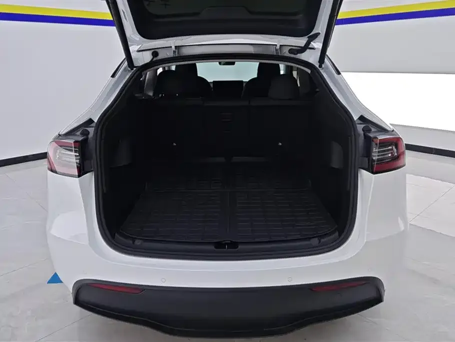 Tesla Model Y 2022 из CN, фото 4