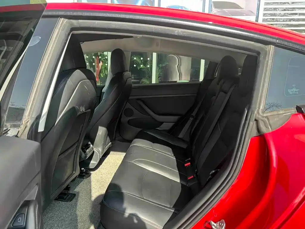 Tesla Model 3 2021 из CN, фото 4