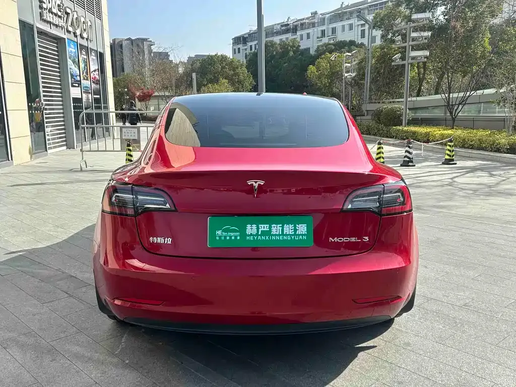 Tesla Model 3 2021 из CN, фото 8