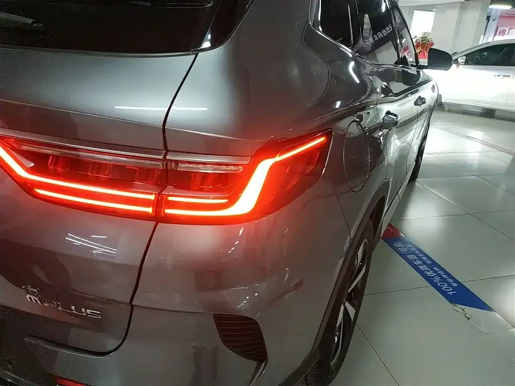 BYD PLUS New Energy — фото 10