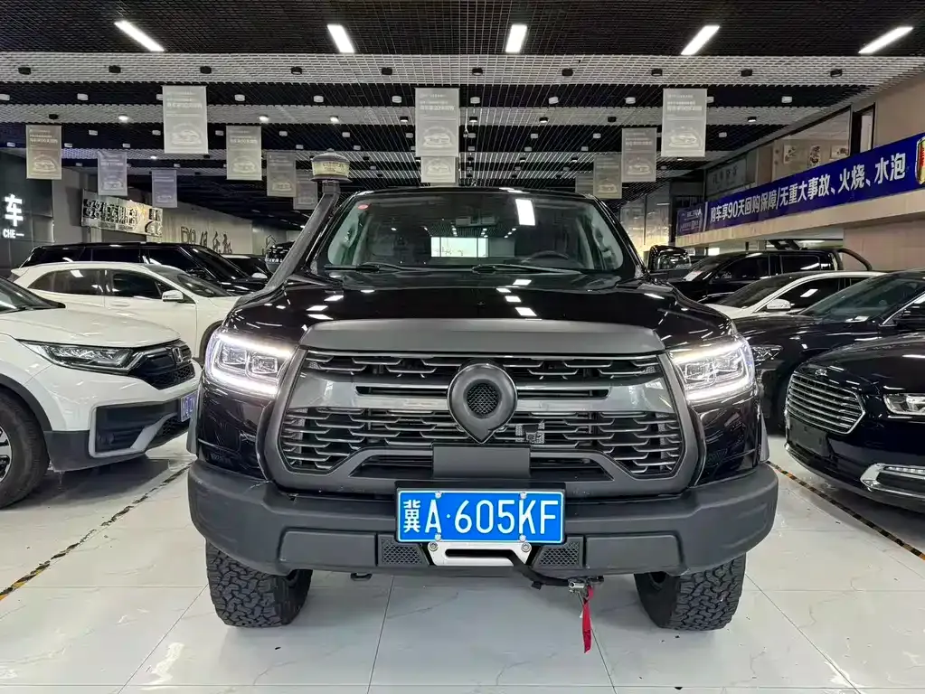 Great Wall Pao 2021 из CN, фото 3