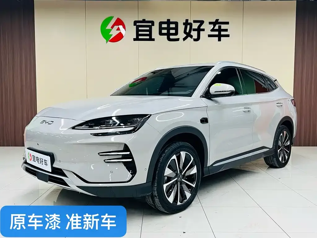BYD PLUS New Energy 2025 из CN, фото 1