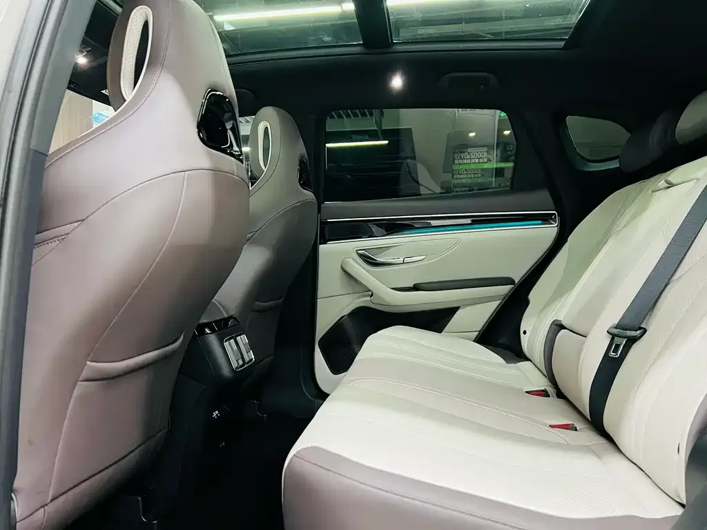 BYD PLUS New Energy 2025 из CN, фото 10