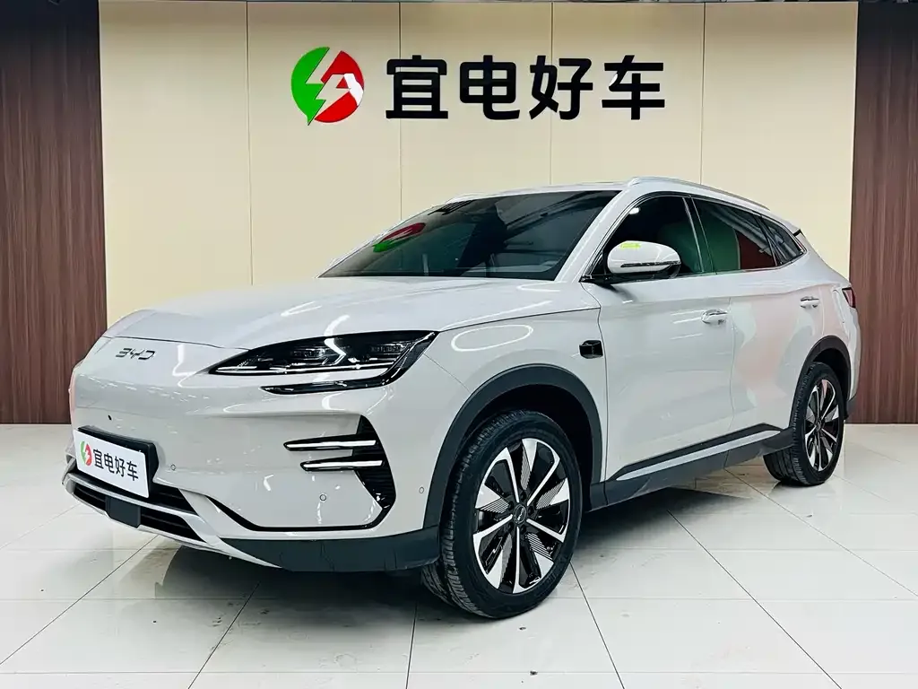 BYD PLUS New Energy 2025 из CN, фото 2