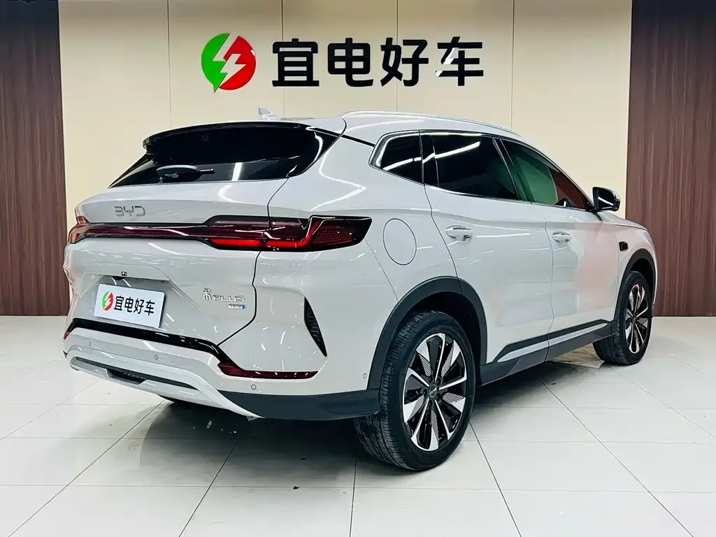 BYD PLUS New Energy 2025 из CN, фото 6