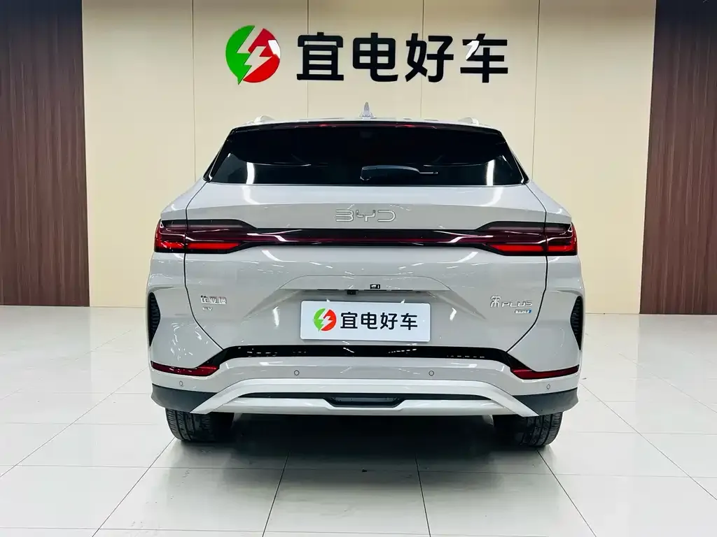 BYD PLUS New Energy 2025 из CN, фото 7