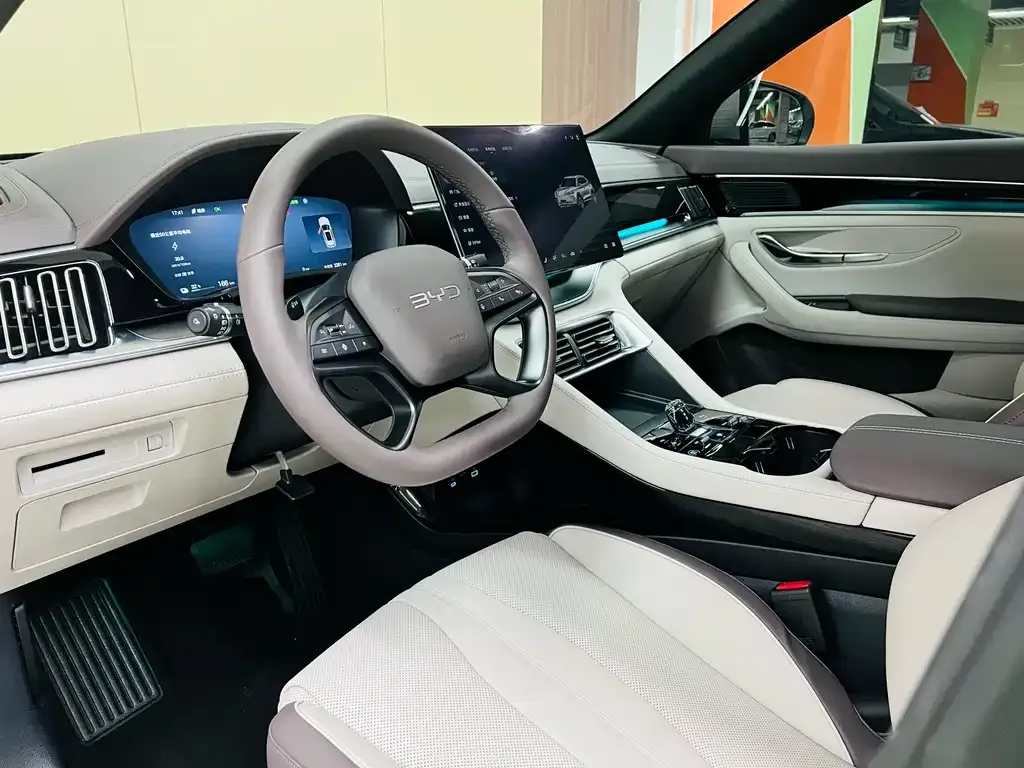 BYD PLUS New Energy 2025 из CN, фото 8