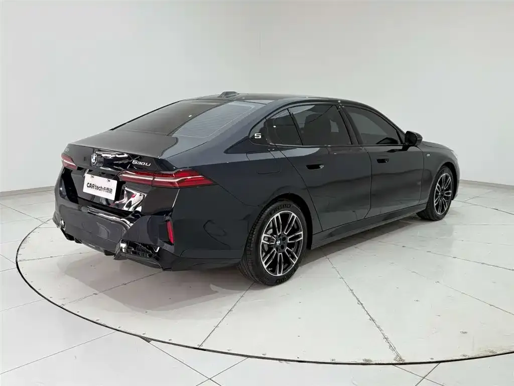 BMW 5 Series 2024 из CN, фото 9