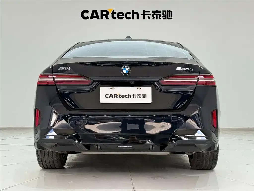 BMW 5 Series 2024 из CN, фото 4