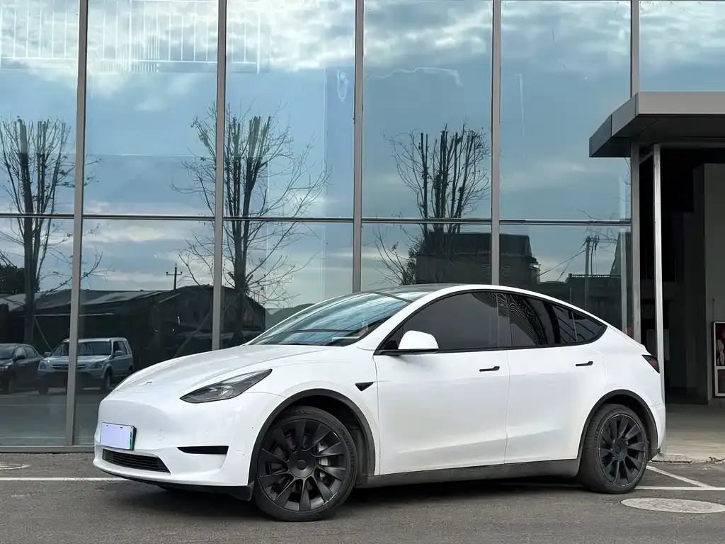 Tesla Model Y 2022 из CN, фото 1