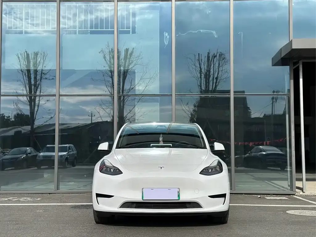 Tesla Model Y 2022 из CN, фото 2