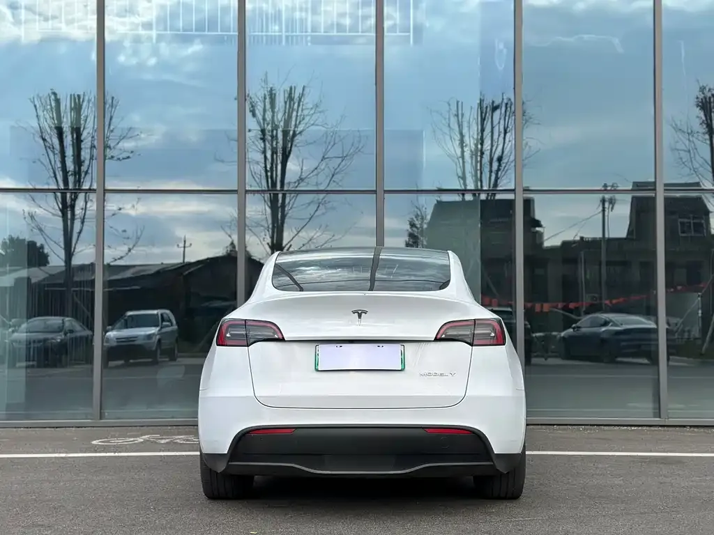 Tesla Model Y 2022 из CN, фото 4
