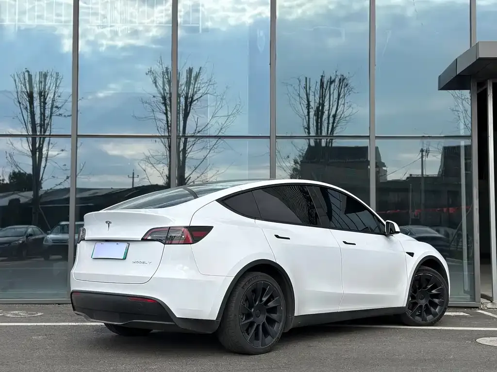 Tesla Model Y 2022 из CN, фото 5